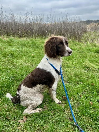 0FD2A88C 765F 48C7 8E62 32FCA069F2FB 1 201 a.jpg