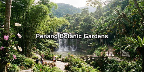 Penang Botanic Gardens.png