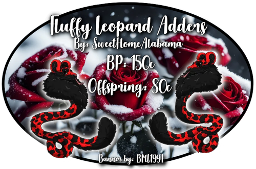 fluffy leopard adders