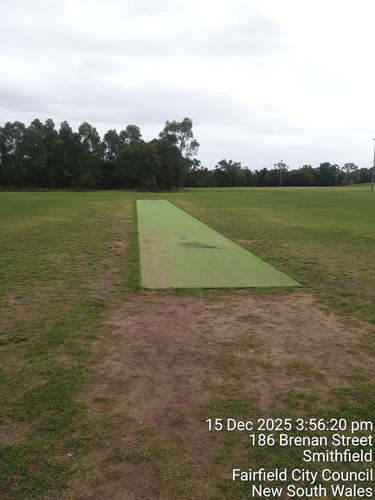 concretecricketpitch.jpg