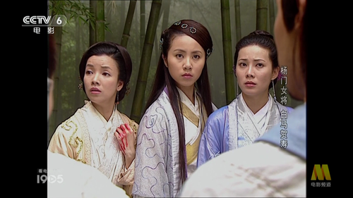 The.Heroines.Of.The.Yang.Family.A.White.Horse.Celebrates.A.Birthday.2001.HDTV.1080i.MP2.H.264.TPTV.t.png