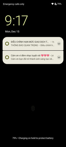 43e4903fddd5.jpg