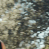 oie h2BQZFndcnJJ.gif