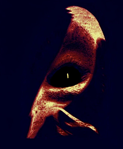 G8Fx4LyXEA81HvW.jpg