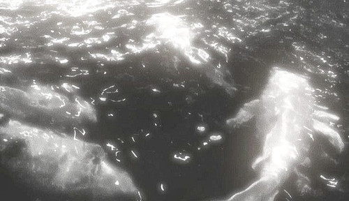 IMG 20260206 184225.jpg