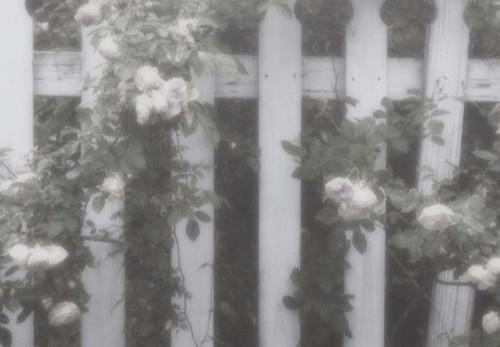 IMG 20260206 184432.jpg