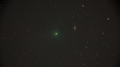 0pu6Sgcau8 O Dqz.jpg