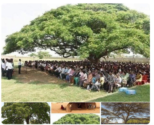 HAc 3OfXkAA96RO?format=jpg.jpg