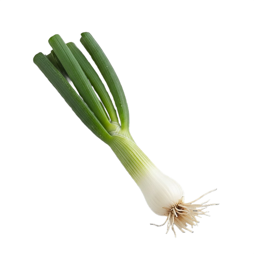 scallion.png