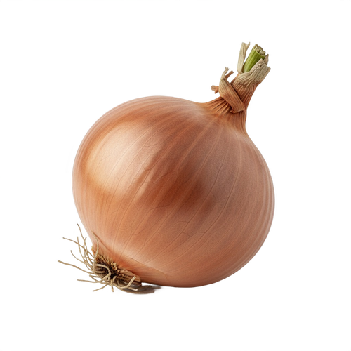 onion.png