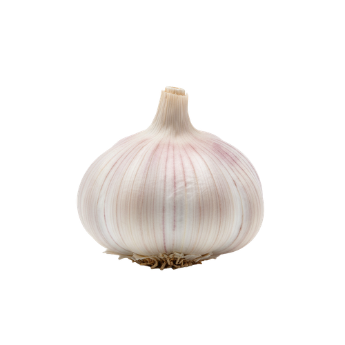 garlic.png