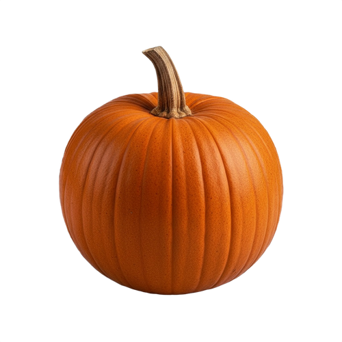 pumpkin.png