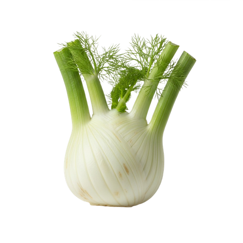 fennel.png