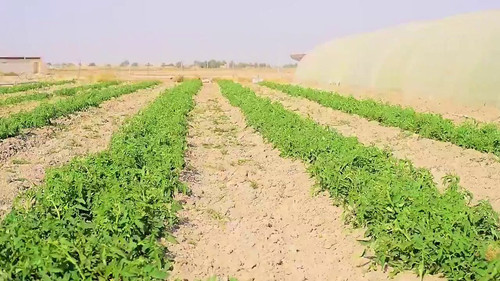 V RO15KCPp38eNyU.jpg