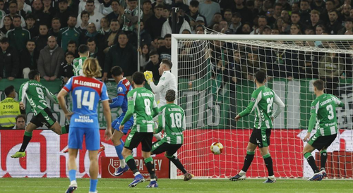 446edbc0 9d4e 4f94 8181 b5e143cebe0c.png