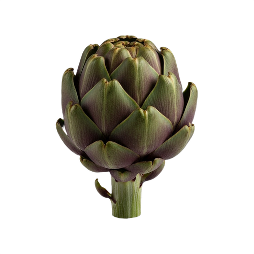 ARTICHOKE.png