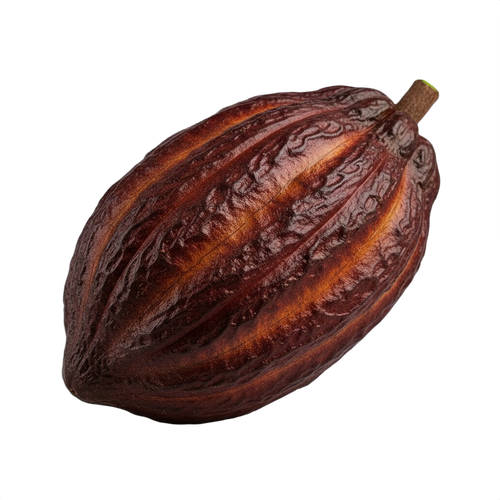 CACAO.png