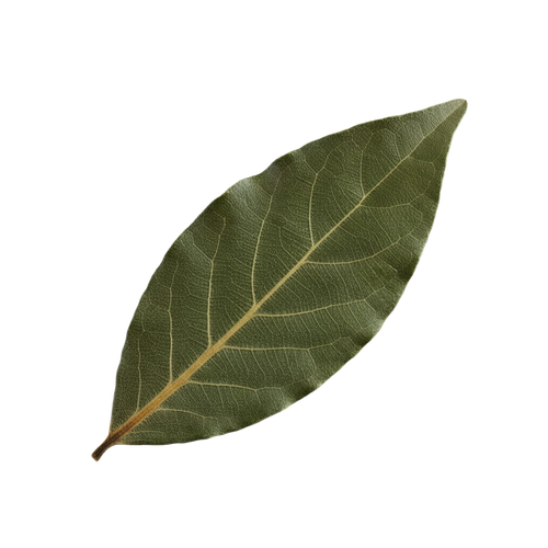 BAY LEAF.png