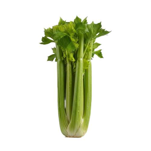 CELERY.png