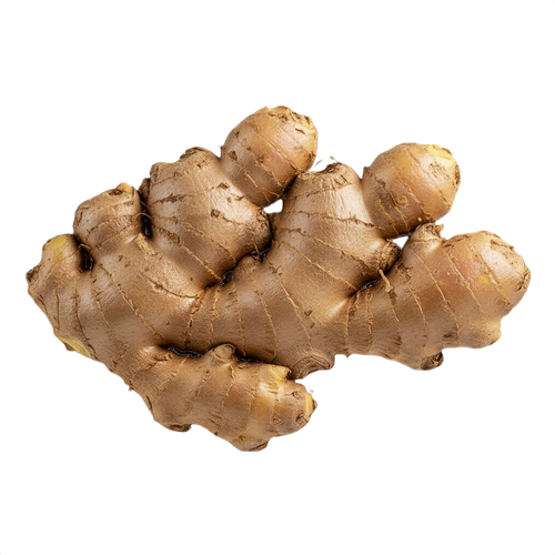 GINGER.png