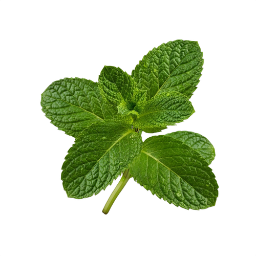 MINT.png