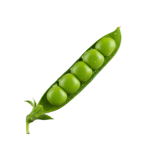 PEA.png