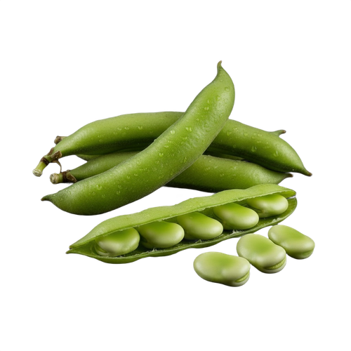 BROADBEANS.png