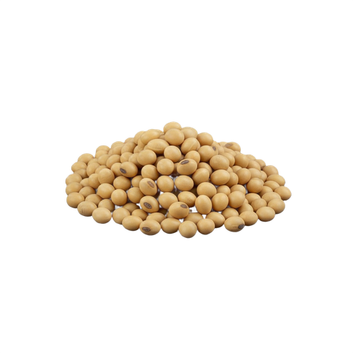 SOYBEAN.png