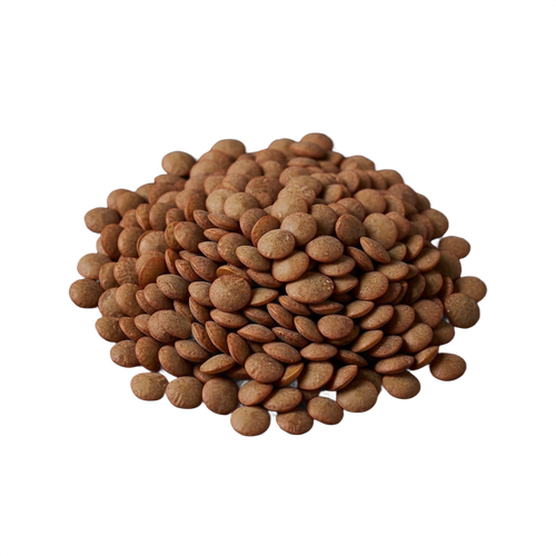 LENTIL.png