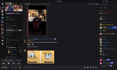 Discord kSYSrPa12E.png