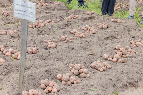 HAd 4HsXwAASERv?format=jpg.jpg