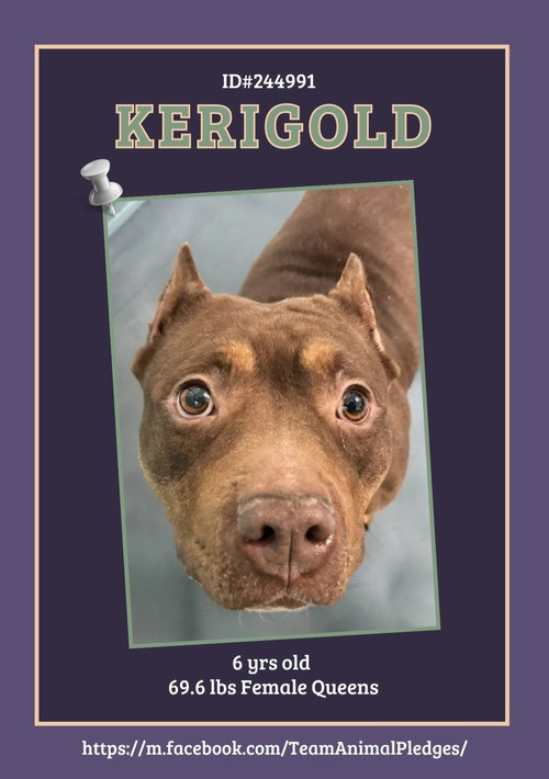 G O6LiLXsAAHu2k?format=jpg.jpg