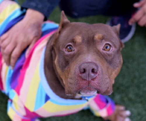 HAaz 1oXsAAVa 0?format=jpg.jpg