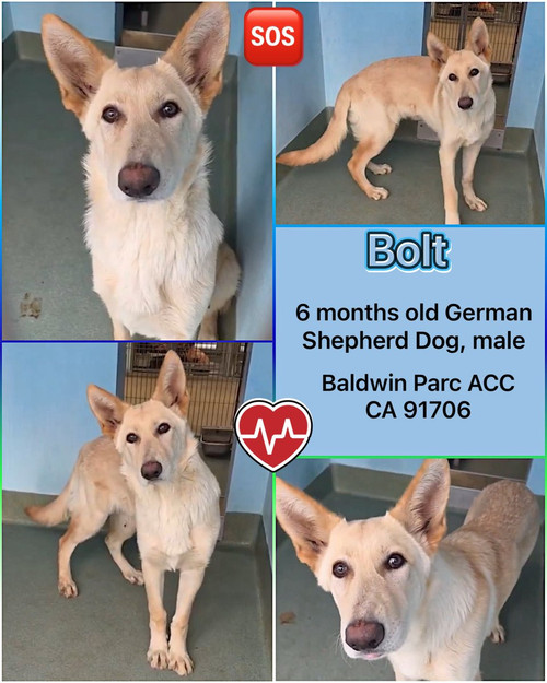 HAa feRW0AAvxhf?format=jpg.jpg