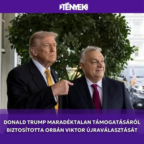 628450013 1540332311435587 2636281787058356016 n.jpg?stp=dst jpg p526x296 tt6& nc cat=108&ccb=1 7& n.jpg