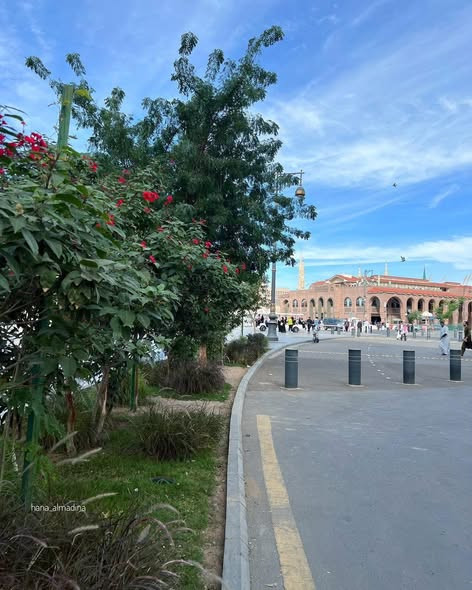 626787309 1338279378325925 2906888593820170508 n.jpg?stp=dst jpg s590x590 tt6& nc cat=102&ccb=1 7& n.jpg