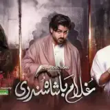 t352 ghulam bashah sundri card