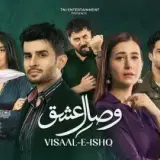 t342 visaal e ishq card