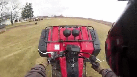 fb93kEG.gif