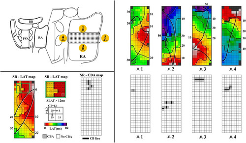G 8khOAbEAIuQP0?format=jpg.jpg