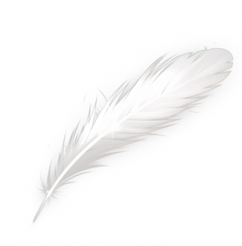 1770338173391.png
