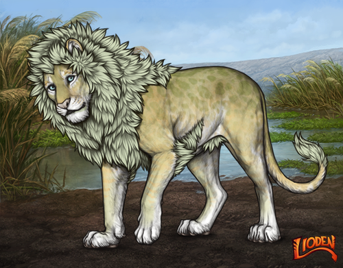 lioden wardrobe 2026 02 05T153318.651.png