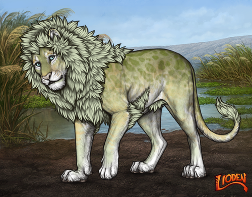 lioden wardrobe 2026 02 05T153345.925.png