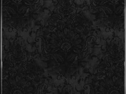 IMG 20260206 033454.jpg