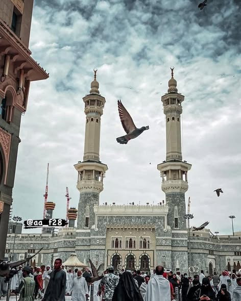 627735494 1337823485038181 9001535541627376561 n.jpg?stp=dst jpg s590x590 tt6& nc cat=103&ccb=1 7& n.jpg