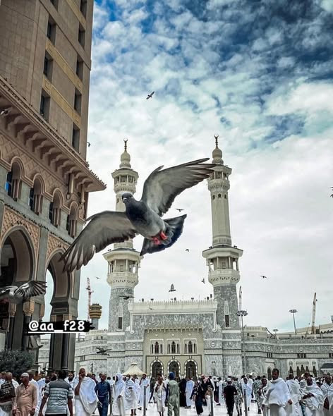 627142469 1337823471704849 2597314605790604598 n.jpg?stp=dst jpg s590x590 tt6& nc cat=107&ccb=1 7& n.jpg