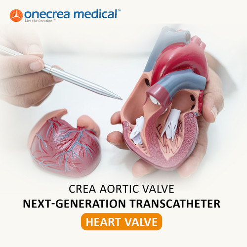 Crea Aortic Valve – Next Generation Transcatheter Heart Valve.jpg