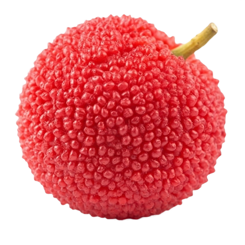 bayberry.png