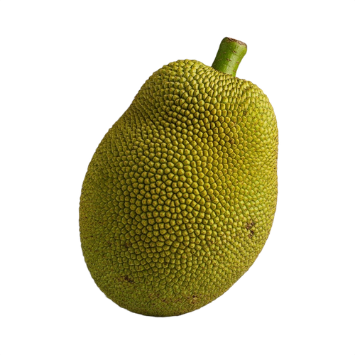 jackfruit.png