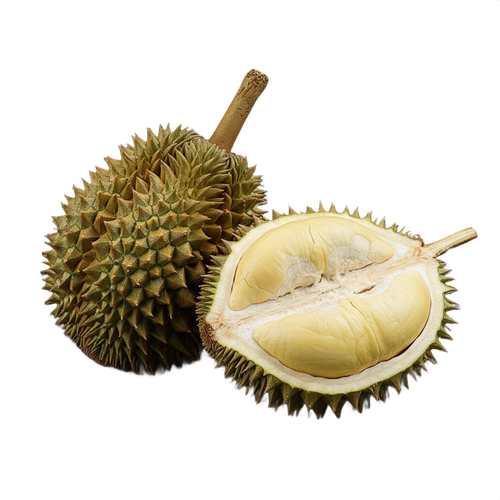 durian.png